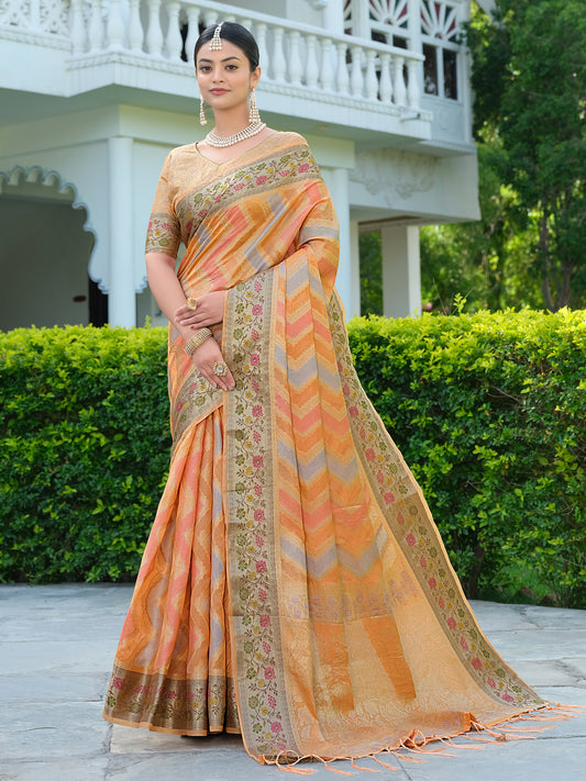 Orange Organza Saree with Multicolored Zari Embroidery